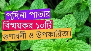 জেনে নিন পুদিনা পাতার বিস্ময়কর ১০টি গুণাবলী ও উপকারিতা।