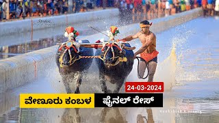 Venoor Kambala  Final Race 2024 | ವೇಣೂರು ಕಂಬಳ  ಫೈನಲ್ ರೇಸ್