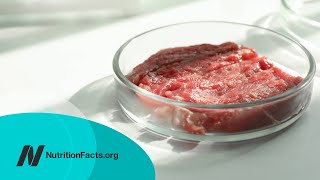 The Human Health Effects of Cultivated Meat: Food Safety