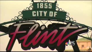 FLINT CRIME STATISTICS PACKAGE