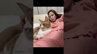 歌舞伎町キャバ嬢と保護猫のリアルな日常　#猫 #保護猫