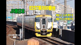 【JR東日本】E257系500番台　特急 わかしお　(京葉線)　市川塩浜駅　通過