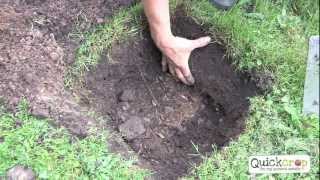 Improving Your Soil