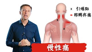 慢性痛的指壓與自然療法,柏格醫生 Dr Berg