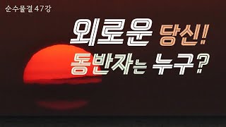 순수물결 47강 - 지금 내 인생의  동반자가 있는가? 동행하고 있는 삶은 누구인가? 같은 곳을 바라보면서 서로 다른 생각을 하고 곁에 있는 사람이 더 멀게 느껴질 때 나는?