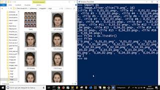Split images and rename with Python