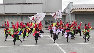 「チーム飛龍」YOSAKOIソーラン日本海彦根三十五万石2019/6/15(土)【JA稲枝】