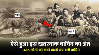 Champawati Tiger who killed 436 people | 436 लोगों को मारने वाली आदमखोर चंपावती बाघ का अंत ऐसे हुआ