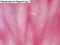 What I've done Amv