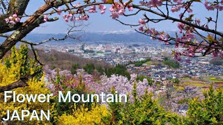 【JAPAN：Fukushima】Walking around the mountain covered by flowers such as cherry blossoms, plum, peach