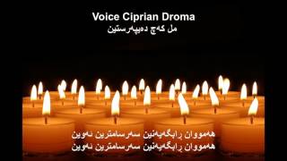 Kurdish Worship Song مل کەچ دەیپەرستین  Voice Ciprian Droma