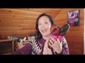 the throwback cardigan episode 106 taking back friday a fibre arts vlog