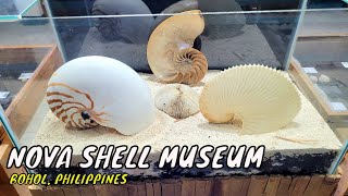 Nova Shell Museum - Home To The World's Smallest Sea Shell - Bohol Philippines | Travel Vlog