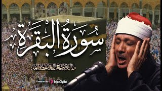 سورة البقرة || من أروع ما جود الشيخ عبد الباسط عبد الصمد | تحصين المنزل وإبطال السحر والحسد والعين