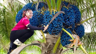 Crossing thousands of miles of deep forest to harvest NHOI fruit in the forest