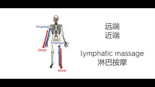 20220406 关键词 软组织技术  执行的顺序