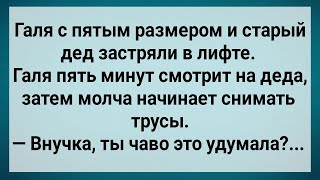 Как Галя в Лифте Деда Напугала! Сборник Свежих Анекдотов! Юмор!