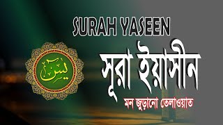 সূরা ইয়াসিন তেলাওয়াত বাংলা অনুবাদ সহ । surah yaseen. سورة يس