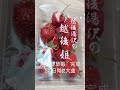 太便宜了！日本新潟湯澤現採越後姬草莓🍓吃到飽⋯兒子能吃多少？！｜默森shorts