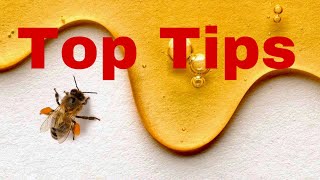 Bee Keeping Tips for Beginners