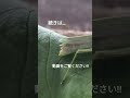 激写‼ バッタのうんち 生物 観察 鬼 チャンネル登録お願いします subscribe おすすめ バッタ うんち shorts grasshopper poop