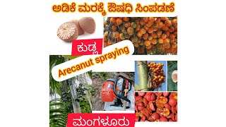 #arecanut /#arecanutfarming / arecanut spraying machine easy methond/spraying mailsutthu all process