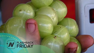 Flashback Friday: The Best Food for High Cholesterol