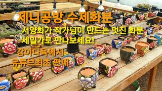 제니공방수제화분 유튜브최초 세일판매! 서양화작가님이 만드신 화분 #제니공방 #수제화분셋트할인 #모란형제농원