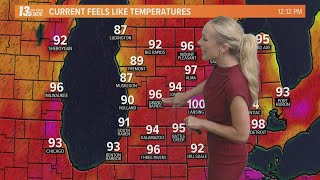 Muskegon, Oceana and Mason Counties under Beach Hazard Statement