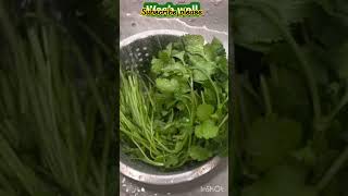 💐how to keep coriander  leaves 💐fresh for 💁cooking tips#shorts #suganyasaravanan#tips #trendingshort