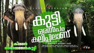 Kerala elephant Kiran Narayanakutty-subtitle-കുറുമ്പൻ നാരായണന്കുട്ടിയുടെ വിശേഷങ്ങളുമായി ജിയേഷ്|EPI26