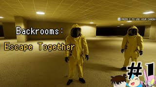 【3人で】不気味な世界『Backroom』から生還しろ【Backrooms: Escape Together】Part.1