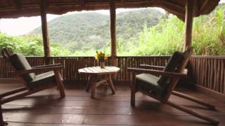 Overview - Bwindi Lodge