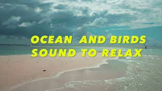 Calming Sea - Relaxing - Birds Singing
