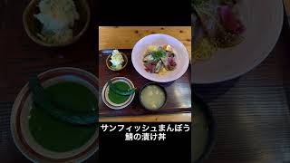 サバらしい日々3月8日まで　市内飲食店で食べられるサバ料理をご紹介#SHORTS