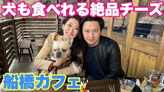 【食べログ1位】犬も食べれる絶品チーズに舌鼓！ママのバースデーランチ！フレンチブルドッグのルーク【Luke VLOG #122】