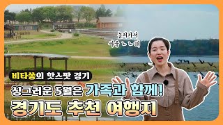 🍋비타쏭이 짱짱! 추천하는 5월 가족 여행지👨‍👩‍👧‍👦 ㅣ 비타쏭의 핫스팟 경기 5월 🎵