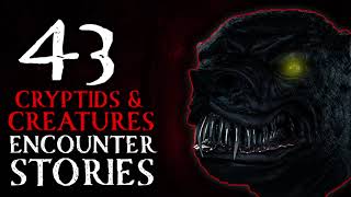 43 SCARY ENCOUNTER STORIES WITH CREATURES, CRYPTIDS AND MONSTERS
