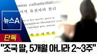 [단독]조국 딸, 5개월 간 인턴?…지도교수 “2~3주 참여”  | 뉴스A