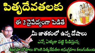 పితృదేవతలకు ఈ 2 నైవేద్యంగా పెడితే మీజాతకంలో ఉన్న దోషాలు ఎన్నో chaganti koteswara Rao speeches latest