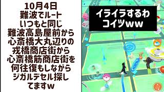 難波でルート ジガルデパーフェクトフォルムまで後31個