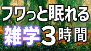 【眠れる男性AIの声】ふわっと眠れる雑学朗読3時間【睡眠用・寝ながら聴ける】