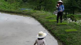 まつだい棚田バンク2010＜田植え＞｜空中田植えの説明