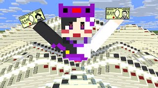 【マイクラ】あの手この手でお金を稼げ!!!!お金を一番稼いだ人が勝ち対決【AMPTAKxCOLORS】【アンプタック】