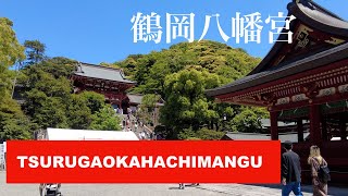 TSURUGAOKAHACHIMANGU 鶴岡八幡宮