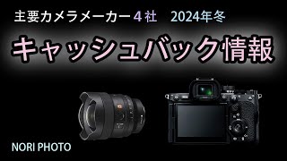 各カメラメーカーで冬のキャッシュバック真っ最中。各情報をまとめるとともに、個人的なお勧めをご紹介します。また、注意点や問題点などについてもお話します。