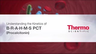 Understanding PCT Kinetics