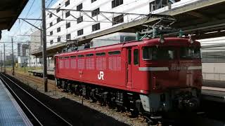 【EF81の単機が東海道貨物線を高速通過】EF81-139号機 E231系1000番台AT入場送り込み 藤沢駅高速通過