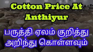 பருத்தி ஏலம் குறித்து அறிந்து கொள்ளவும் | Cotton Rate At Anthiyur | Paruthi Vilai Nilavaram