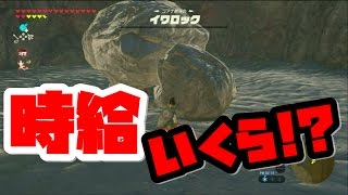 【ゼルダの伝説 ブレスオブザワイルド】最高のルピー稼ぎはこれ！？イワロック狩りを一時間やった結果！【naotin】